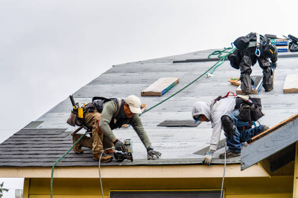 Professional Gutter Installation technician working in La Vernia, TX